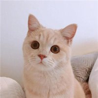 暖心的小太阳