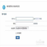 夜光下的兰花
