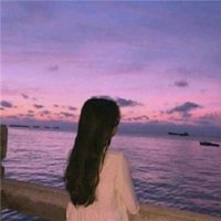 高原漫步看格桑花