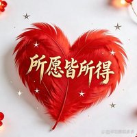 爱凑热闹的小懒猫
