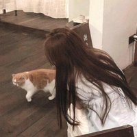 我心飞扬