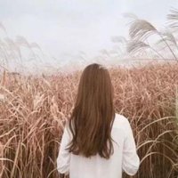拾光漫游