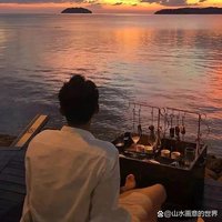 海边遇见海豚