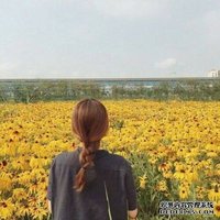 健谈