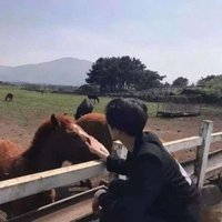 儒雅星辰1314