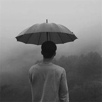 风的自由