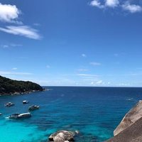 认真的生活家YR
