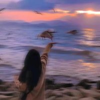 梦里追梦人