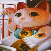 满江魟