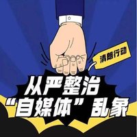 薄荷撞清风