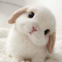 潮流解码人