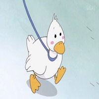 新福建
