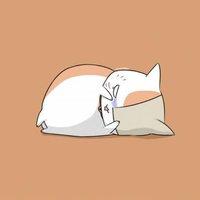 潘达体育