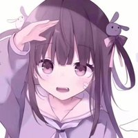 柴犬围笑
