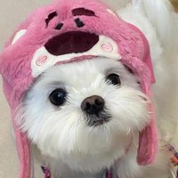 天祝融媒