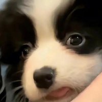 瑶瑶东风来