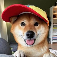 拾伍