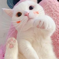 温柔帆船