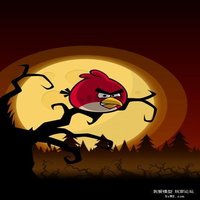 随心意。
