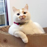 轻松生活
